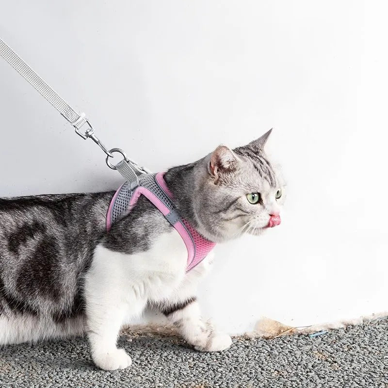 Adjustable cat harness with leash for comfortable outdoor walks. Escape-proof design ensures safe adventures for your feline.
