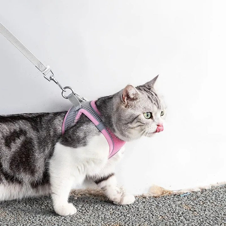 Adjustable cat harness with leash for comfortable outdoor walks. Escape-proof design ensures safe adventures for your feline.