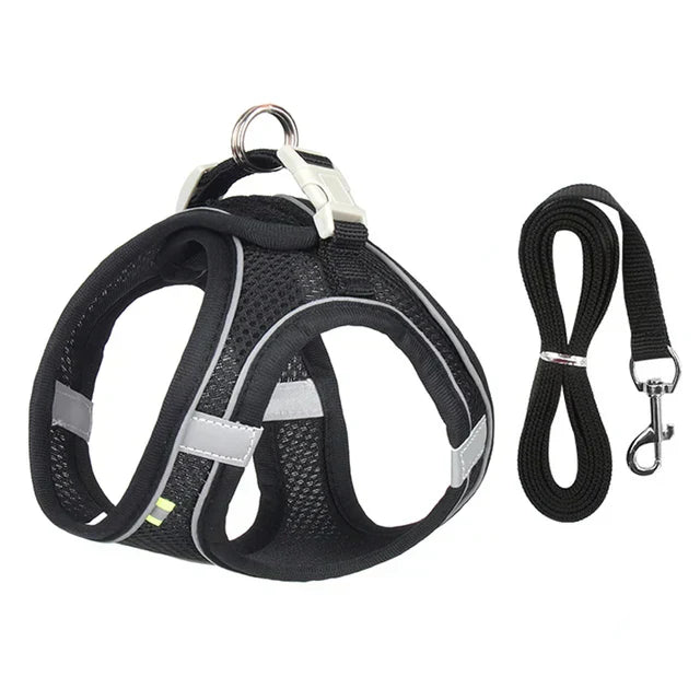 Reflective cat harness and leash for enhanced night visibility. Adjustable, comfort-fit design for safe walks with your pet.