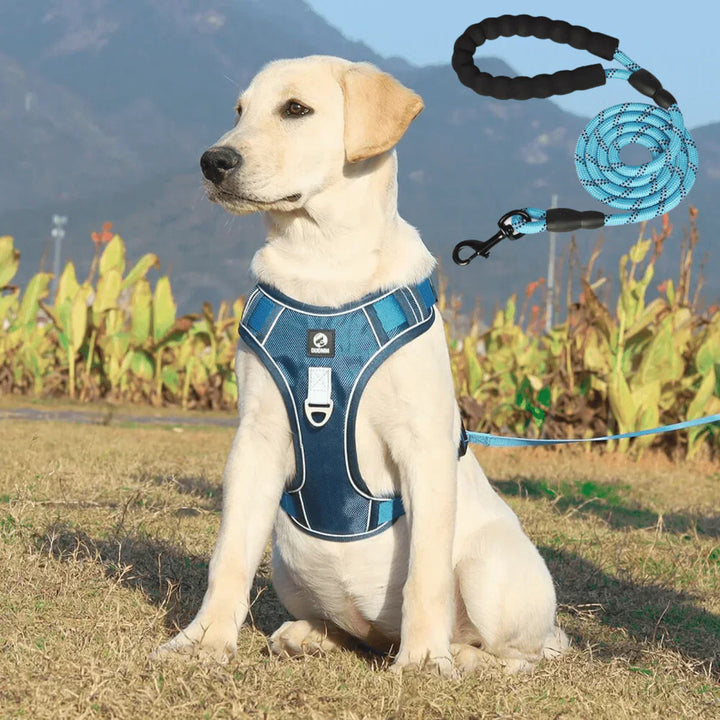Black anti-pull dog harness with comfort padding for safe, stress-free dog walks. Adjustable straps.