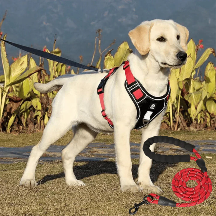 Ergonomic padded dog harness for ultimate pet comfort. No-pull design for gentle walks & training.