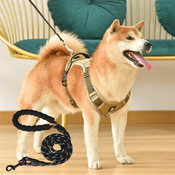 Durable no-pull dog harness designed for effective training and comfortable daily walks. Pet safety gear.
