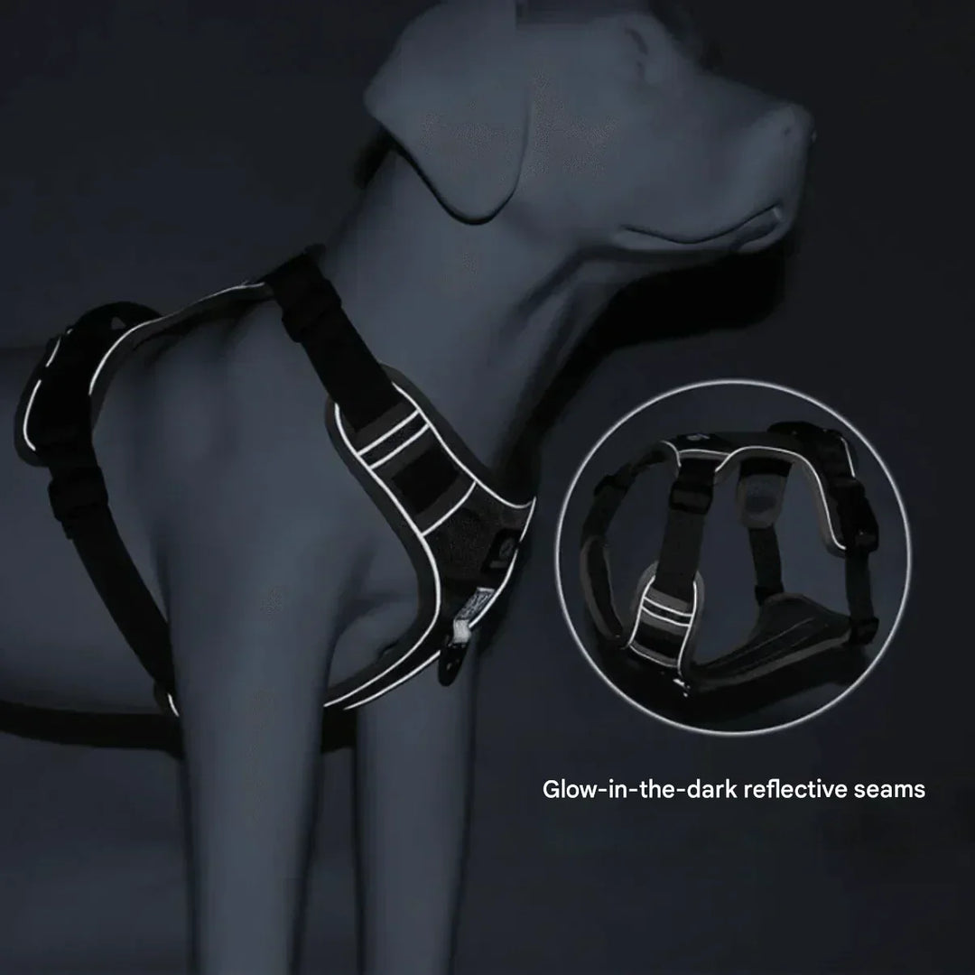 Achieve stress-free walks with this no-pull dog harness. Padded and adjustable for pet comfort & control.
