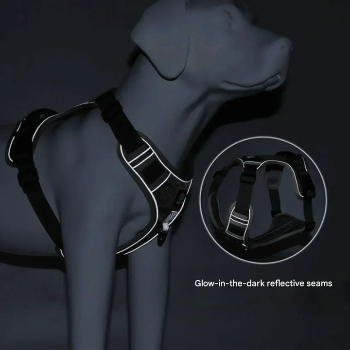 Achieve stress-free walks with this no-pull dog harness. Padded and adjustable for pet comfort & control.
