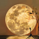 Moon