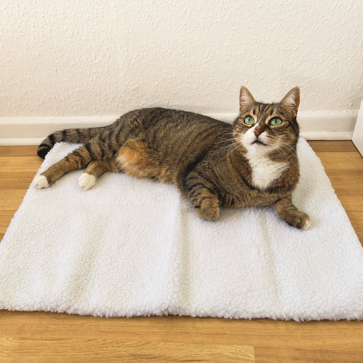 Cozy self-heating cat mat for ultimate feline warmth. No electricity needed, perfect for winter comfort.