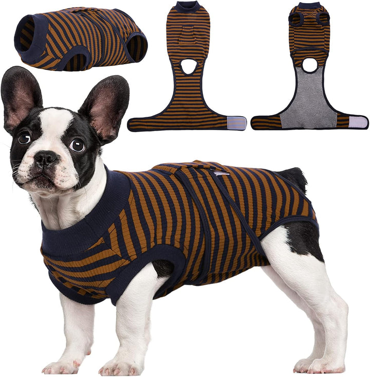 Close-up of the snap closure on a pet recovery suit, for easy on/off.