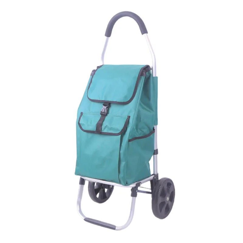 Durable aluminum shopping cart, CarryEase, offering lightweight and practical transport solutions