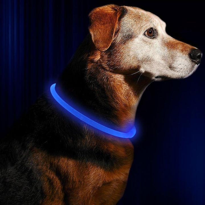 GlowSafe LED dog collar, USB rechargeable, for pet safety during night walks
