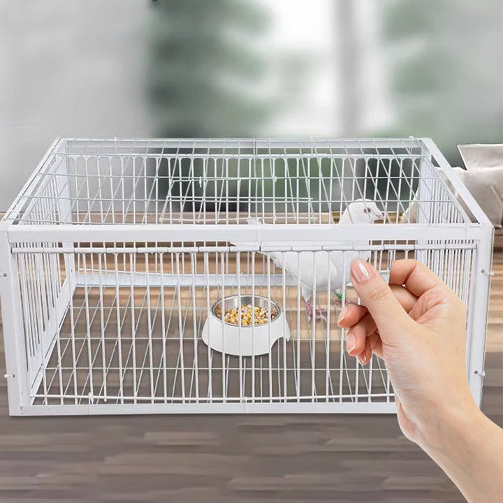 Humane bird trap cage for safe, effective garden pest control. Ideal for wildlife management and animal capture.