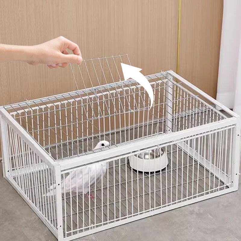 Safe capture humane bird trap cage, perfect for garden animal control & gentle pest management. Durable tool.