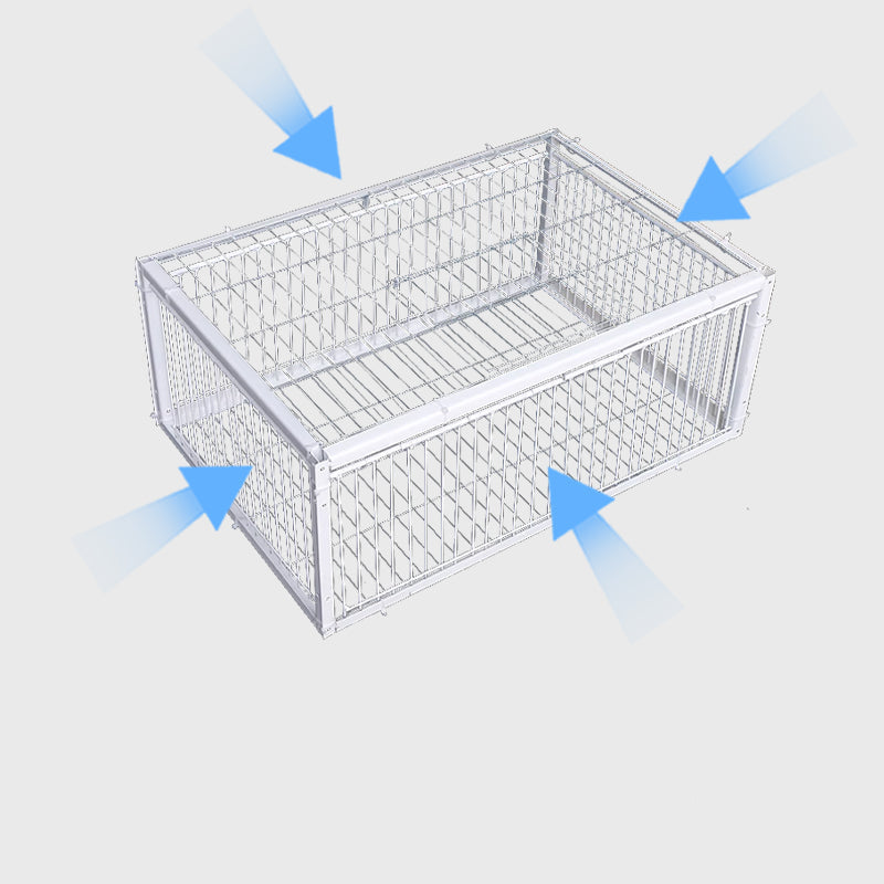 Humane bird trap cage for safe garden bird pest control. Effective outdoor tool for animal and wildlife capture.