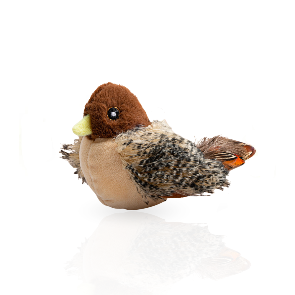 FlappyChirp interactive cat toy stimulates feline hunting instinct with realistic sound & motion, USB rechargeable.