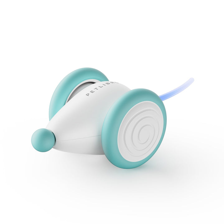 Long-lasting, chew-resistant interactive cat toy for stimulating feline play. Encourages active movement.