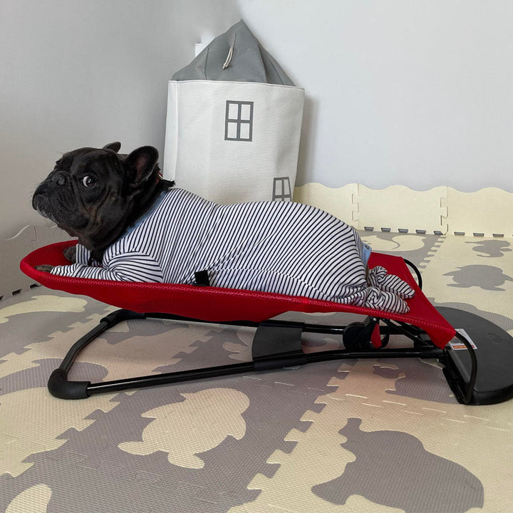 Happy dog relaxing blissfully on a luxury Swingo rocking chair. Comfy pet bed for indoor/outdoor relaxation.