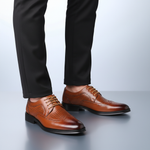 Brown 2
