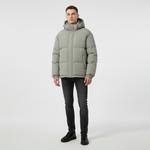 Light Gray