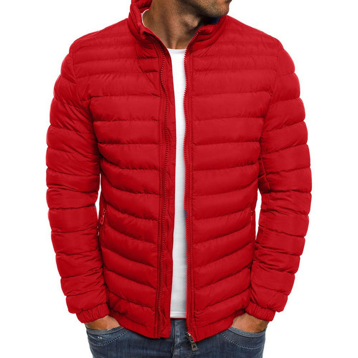 Modern men's lightweight winter jacket, ideal for casual everyday wear. Stylish outerwear for men's fashion and cold weather.