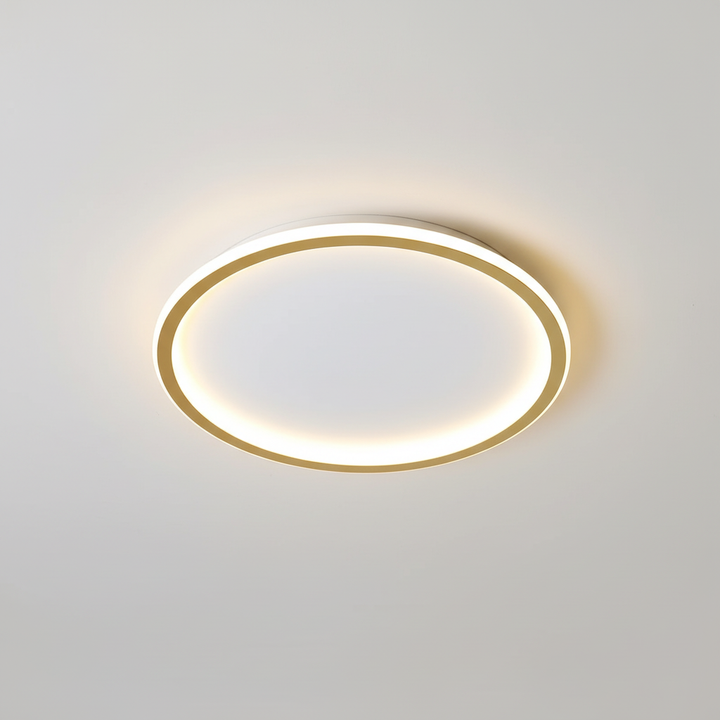 Modern white LED Ceiling Light, suitable for various interior styles, dimmable