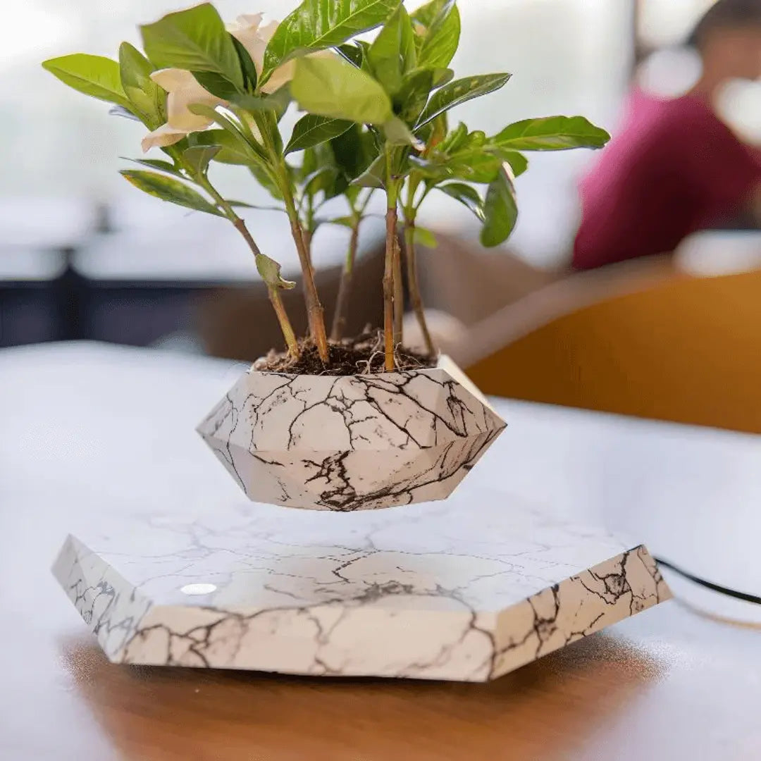 Modern magnetic levitation floating plant pot, unique home decor for any room.