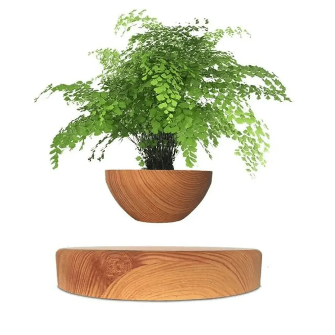 Innovative floating plant pot with magnetic levitation technology, tech home decor.