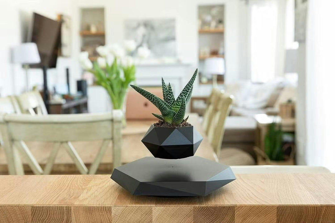 Air plant pot floating elegantly, a magnetic levitation decorative desk accessory.