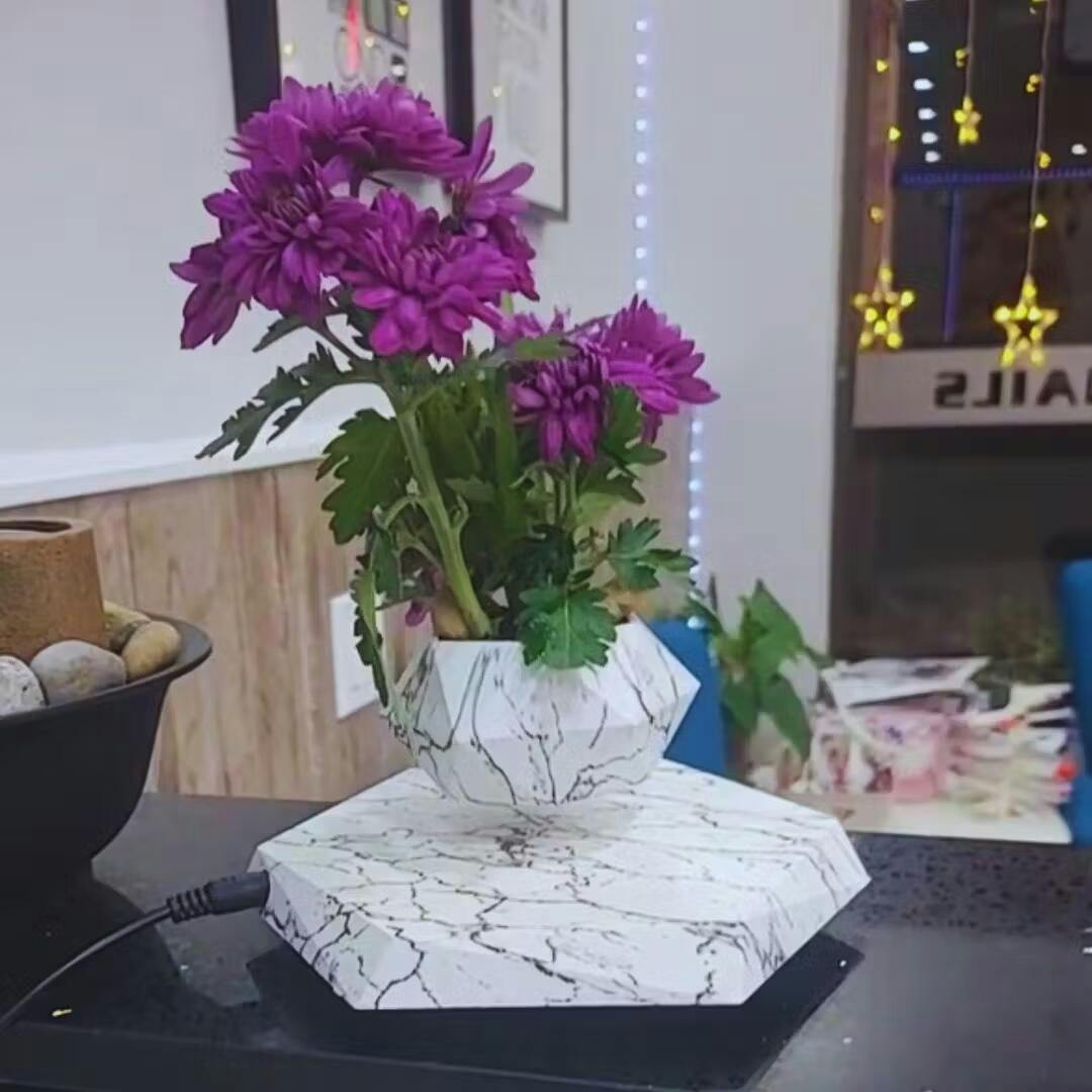 Decorative magnetic levitation plant pot, a futuristic touch for modern office decor.