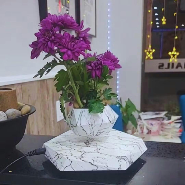 Decorative magnetic levitation plant pot, a futuristic touch for modern office decor.