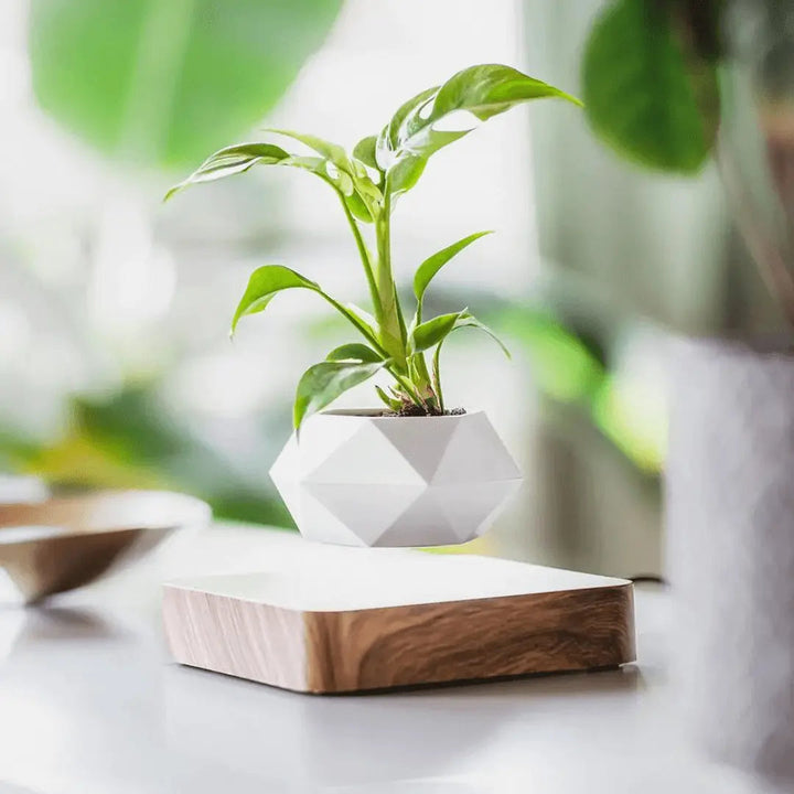 Unisex levitating plant holder, a modern magnetic plant pot for home decor & unique gifts.