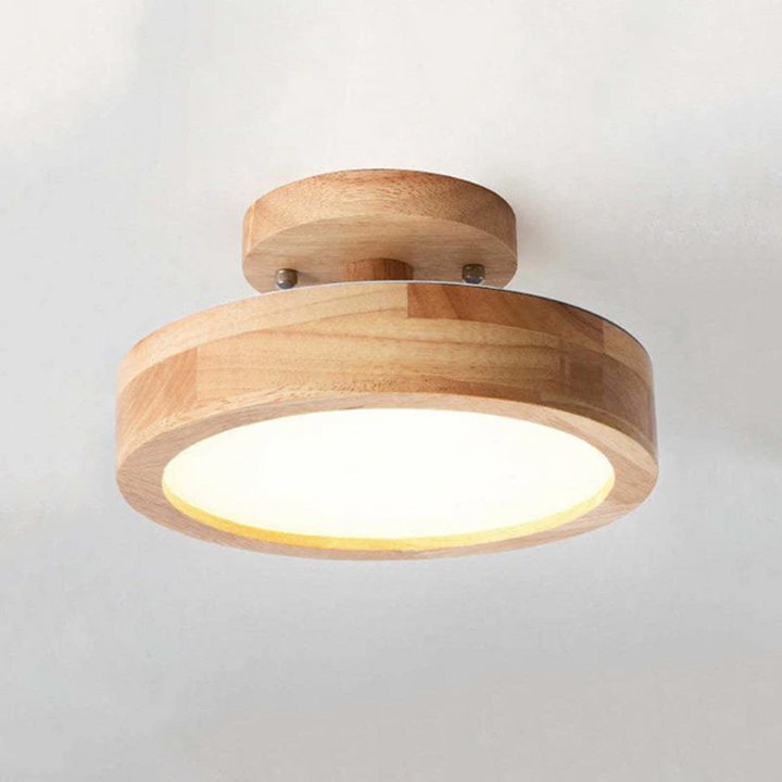 Sleek Nova LED ceiling lamp, a modern round fixture enhancing living spaces.