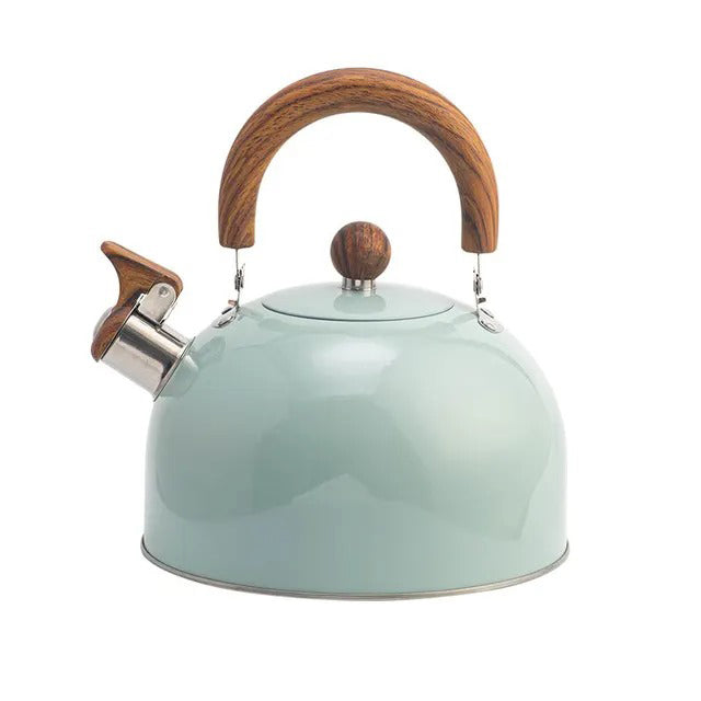Modern stainless steel whistling kettle on an induction cooktop, perfect for kitchen tea and coffee.
