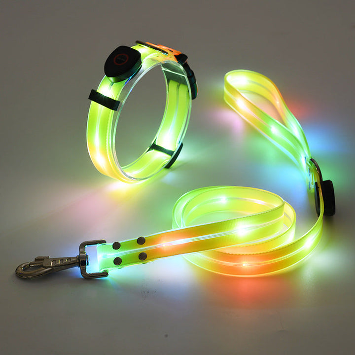Bright LED dog collar, glowing for night visibility & pet security. Rechargeable outdoor dog gear.
