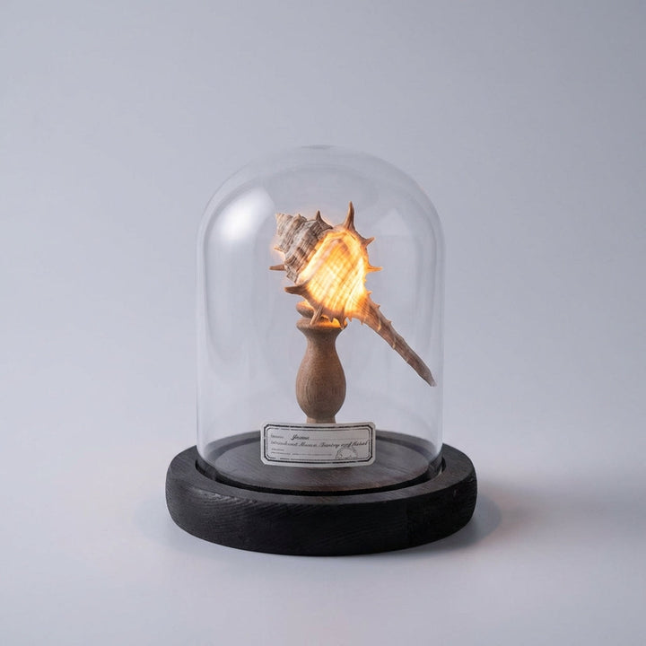 Tabletop view of Ocealyn seashell LED night light, illuminating a cozy room setting