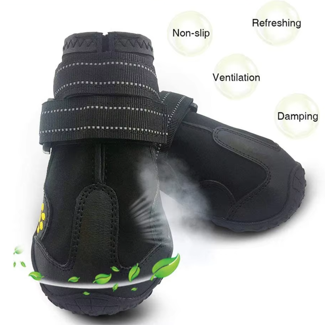 Golden Retriever wearing all-weather dog boots, ready for a walk, paw protection