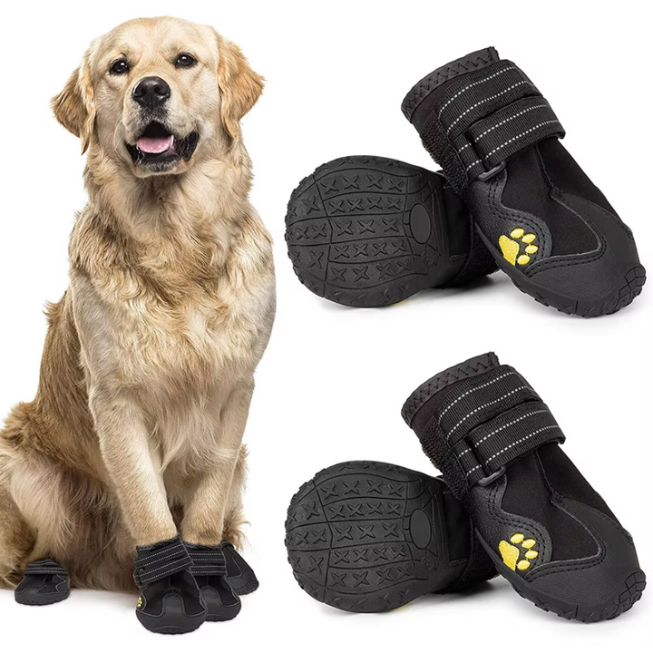 Set of four all-weather dog boots in a box, ideal pet paw protection for outdoor adventures