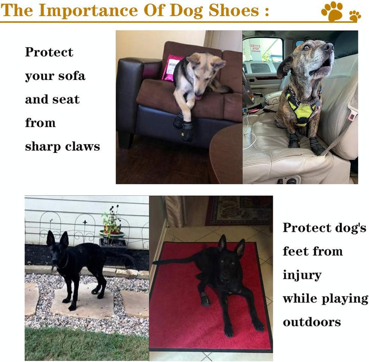 Package of dog boots, paw protectors, for pet care and ultimate paw protection in any weather