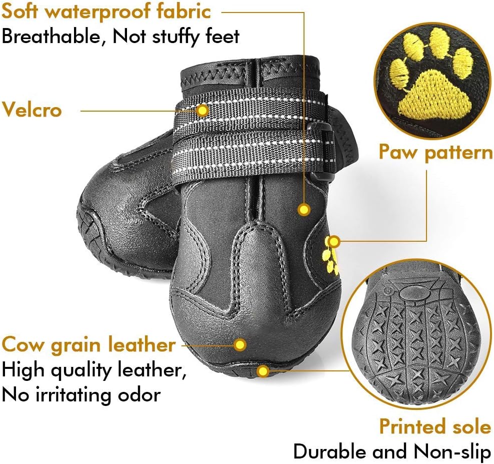 Dog's paw safely inside a black anti-slip dog boot, illustrating secure fit and paw protection