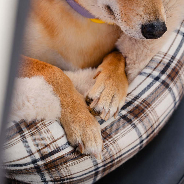 Soft plush dog car seat accessory, ensuring pet safety & comfort on every journey.