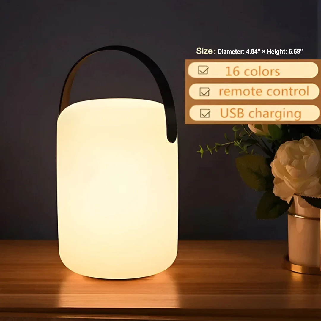 Contemporary portable light with LED technology and easy color changing options, stylish design