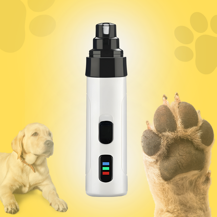 Dog using a quiet electric nail file, ensuring a painless and stress-free paw grooming experience.