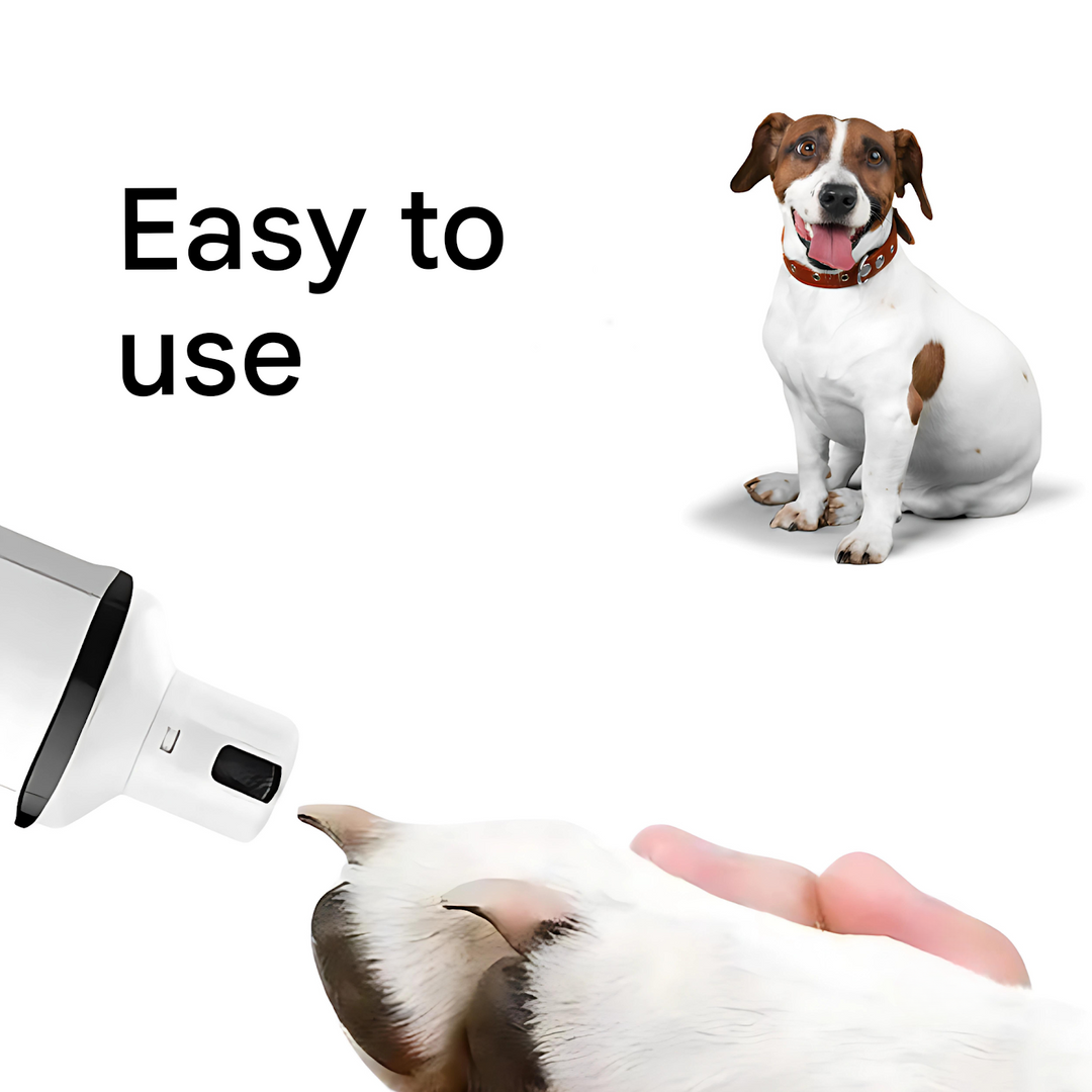 High-quality electric dog nail file with quiet motor, ensuring safe and effective pet grooming.