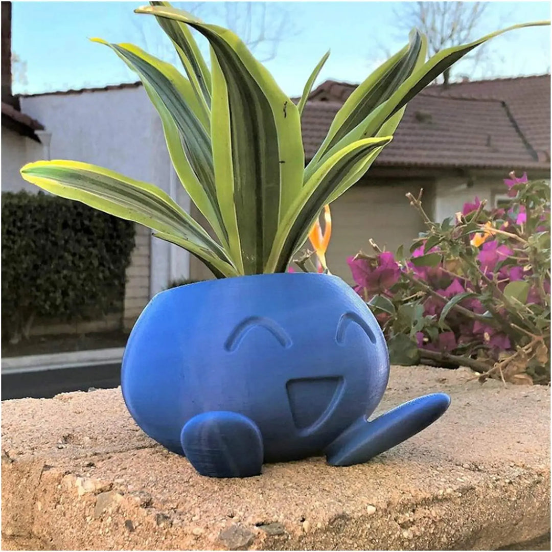 Gift for plant lover: unique succulent planter, a decorative pot with a distinctive, quirky design for home.