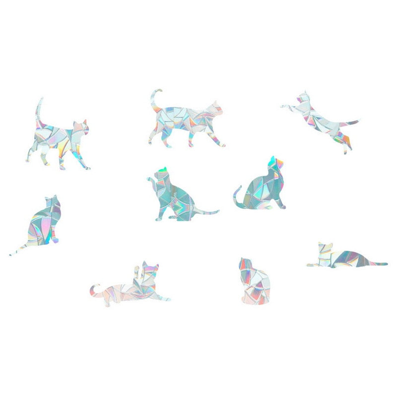 Static cling sun catcher decal on a large window, creating a spectacular rainbow effect throughout the day.