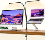 2 x gooseneck with swivel clip