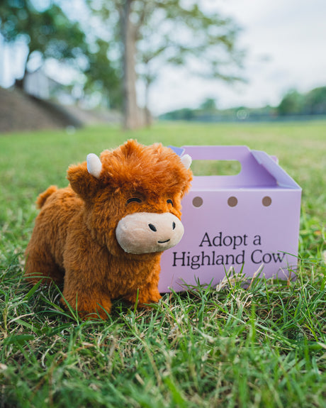 Lifelike Highland Cow stuffed animal, soft cotton, suitable for all ages