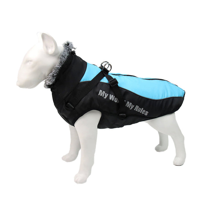 Reflective dog jacket and harness, perfect pet apparel for active dogs' safety during outdoor walks.