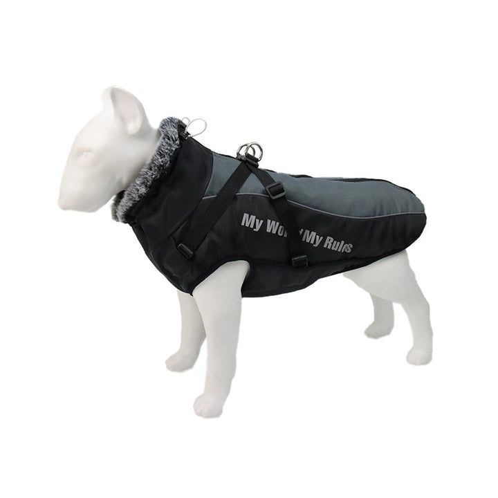 Maximize dog visibility with this reflective jacket and harness, essential for safe walks.