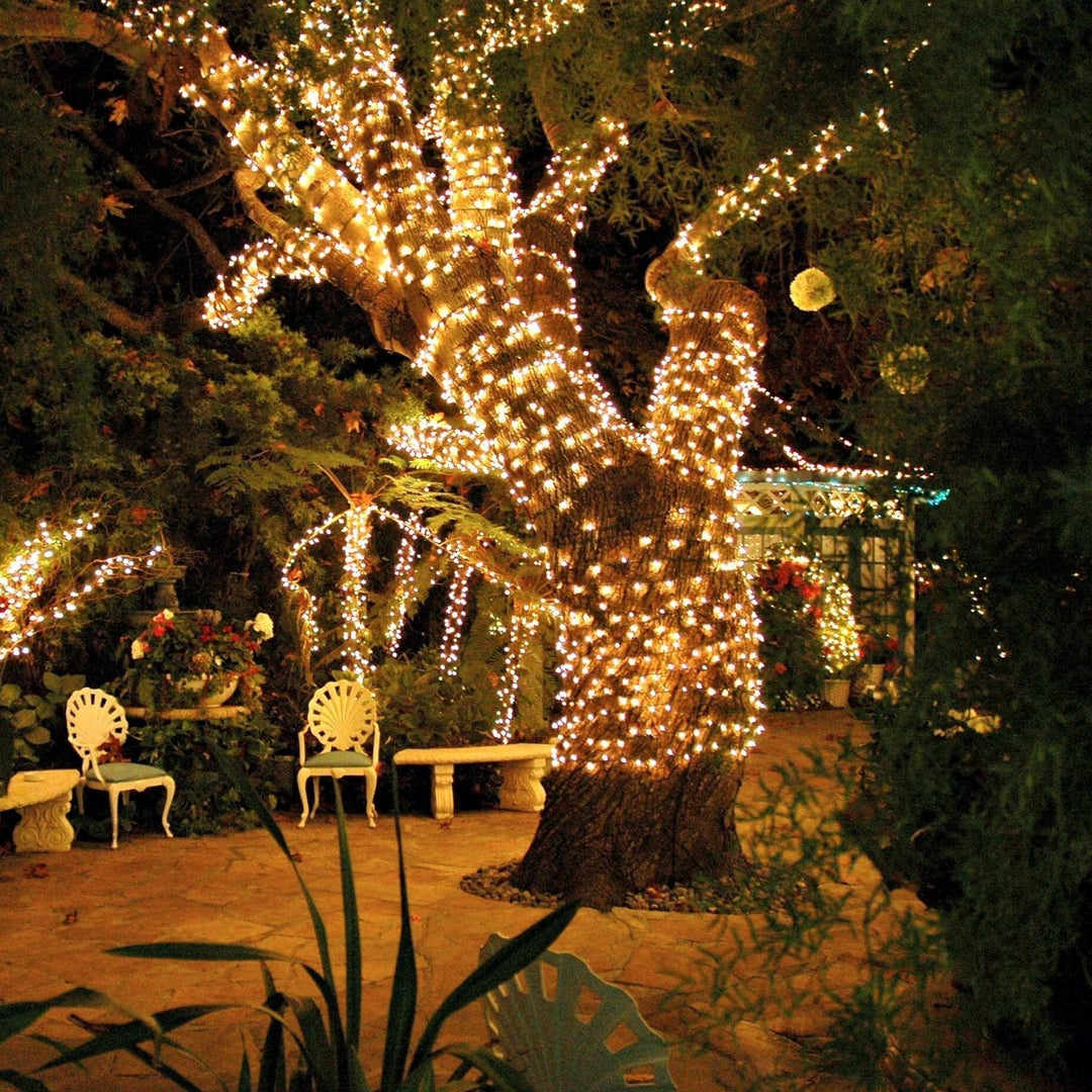 Outdoor garden decor featuring soloar powered LED fairy lights, SoliGlow