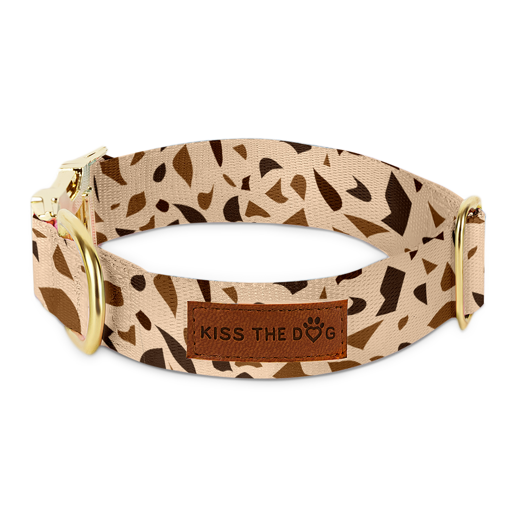 GoldenTerra dog collar featuring a modern terrazzo design, strong polyester webbing & luxurious golden accents.