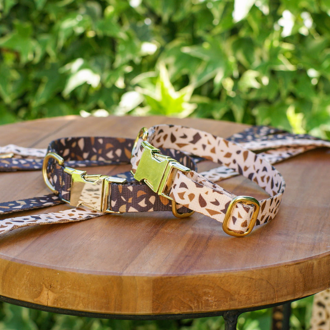 Durable & stylish dog collar with golden hardware. Unique terrazzo pet accessory, perfect for any dog.